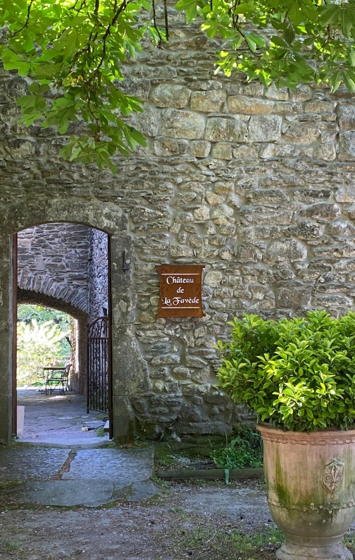 Logement château, séjour, salle sur gardon, gard